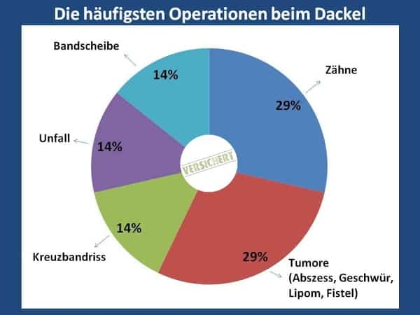 Häufigste Operationen | Dackel