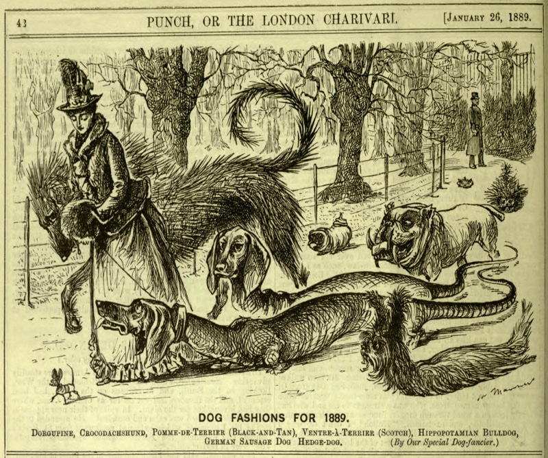 Dog Fashions For 1889 | Crocodachshund | German Sausage Dog