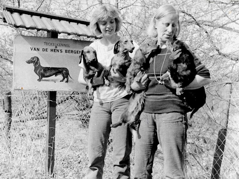 Teckelkennel van de Hen's Bergen