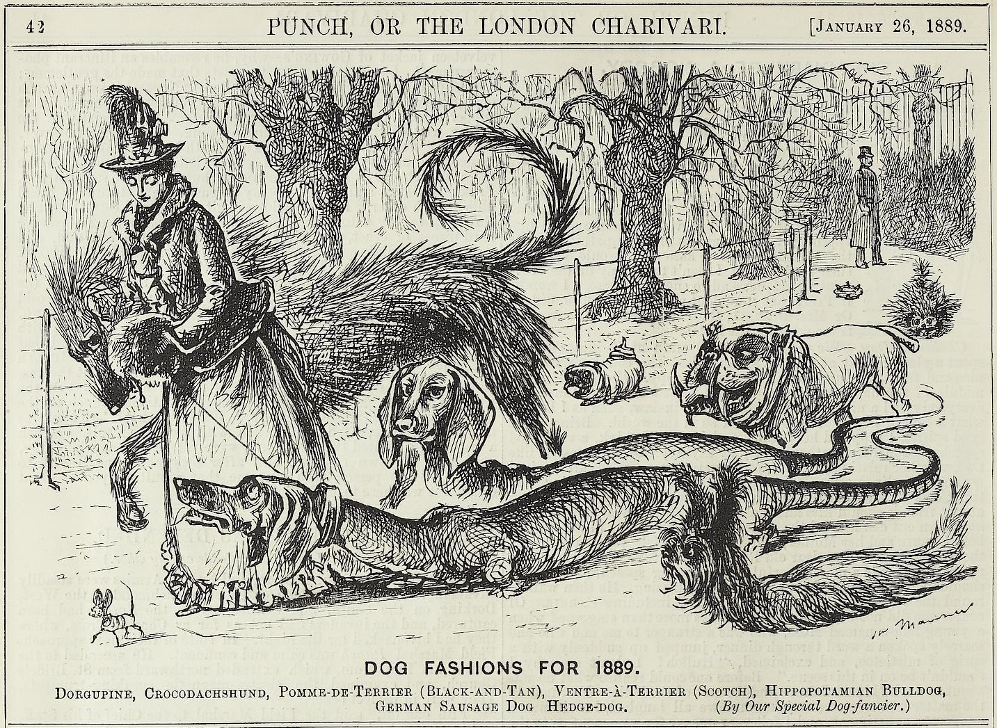 Dog Fashions For 1889 - Punch magazine, January 26, 1889