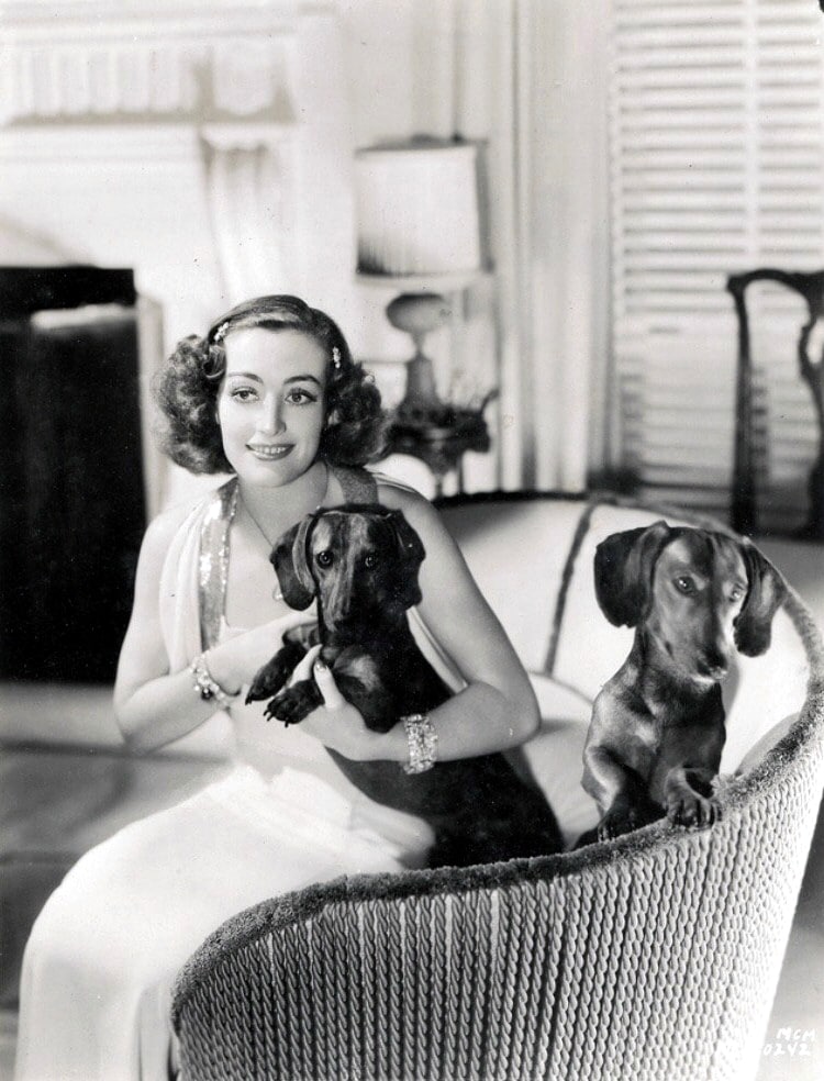 Joan Crawford with Dachshunds (1936)