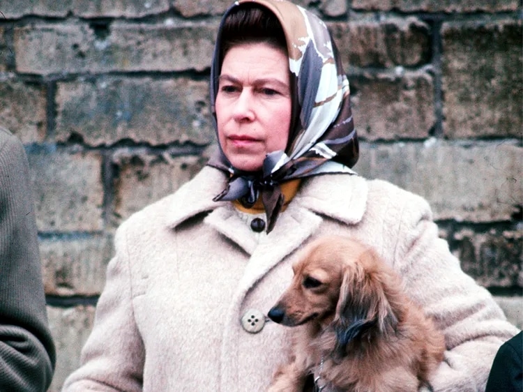 Queen Elizabeth with one of her dorgis (1976)