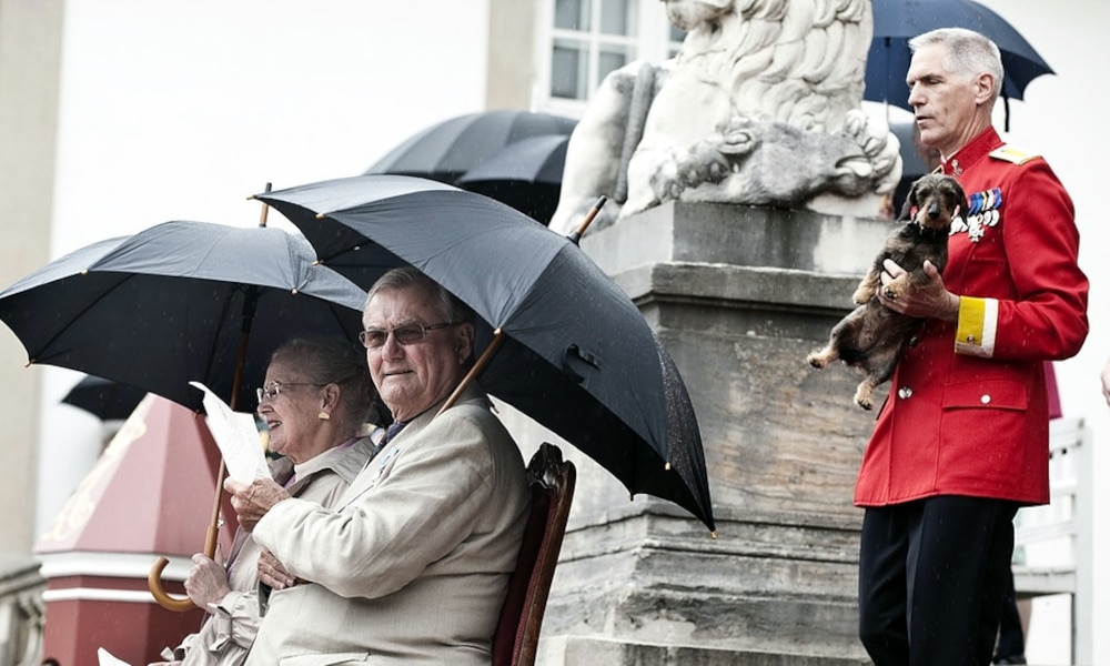 Das Königspaar hält den Regenschirm fest, der Leibgardist den royalen Vierbeiner.