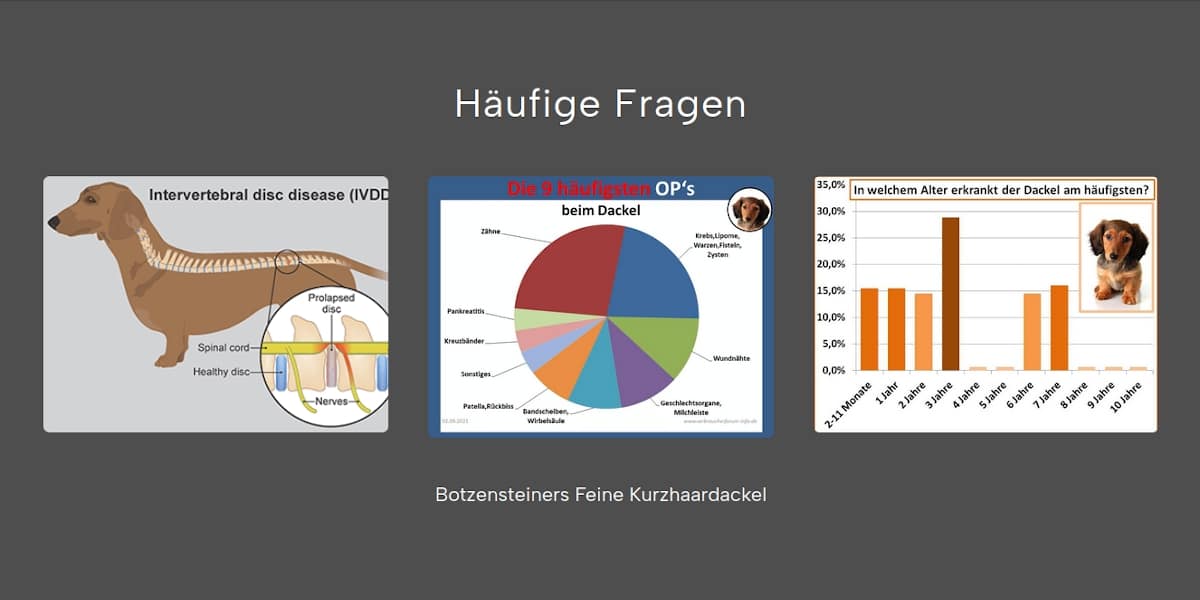 FAQ - Häufige Fragen