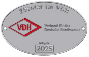 VDH Züchterplakette 2025